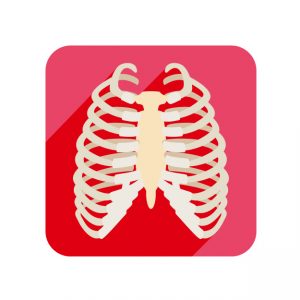 肋骨にひびが入ったときの治療期間はどのくらい？やっぱり安静が必要？