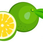 じゃばらが花粉症に効く理由とその飲み方!おすすめ商品も紹介!