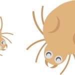 ダニに刺された跡の特徴と残さずに消す方法!おススメの市販薬は?