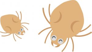 ダニに刺された跡の特徴と残さずに消す方法！おススメの市販薬は？