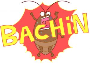 【保存版】ゴキブリの殺し方おススメ4選!後始末のポイントも紹介!