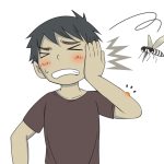 蚊が耳元でうざくて寝れない!夜中にすぐできる撃退法3選!