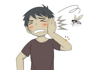 蚊が耳元でうざくて寝れない!夜中にすぐできる撃退法3選!