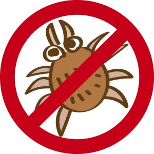 ダニ退治の布団乾燥機の効果的な使い方!おすすめ機種も紹介!